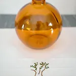 Gioia * Ostuni